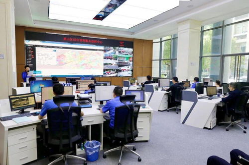 區政協視察全區智慧城管服務系統建設情況 科學化、智能化、智慧化推動城市治理新格局